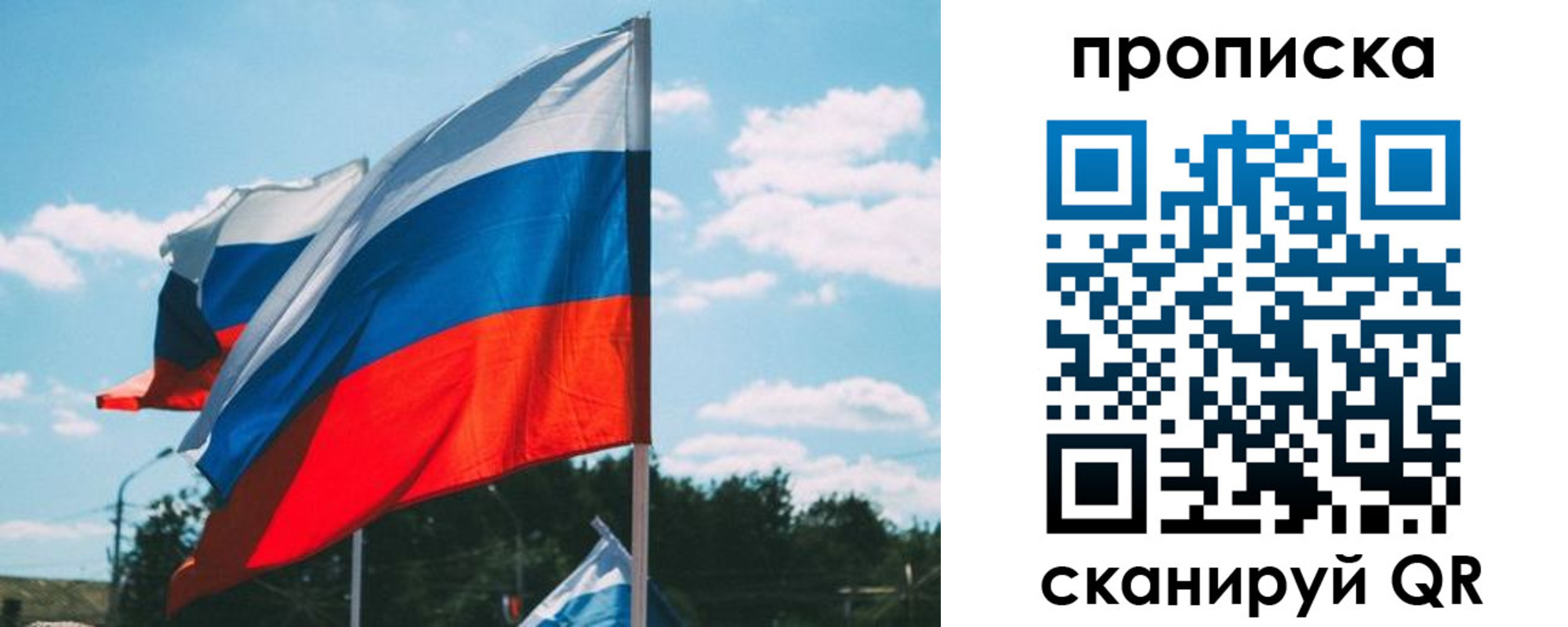 прописка поиск в Светогорске